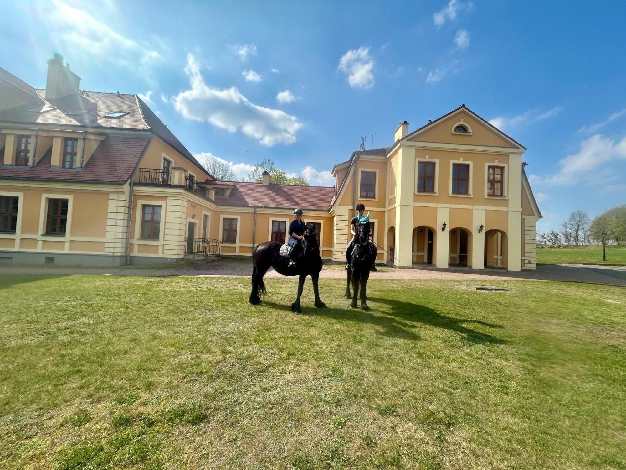 Palac W Rymaniu
