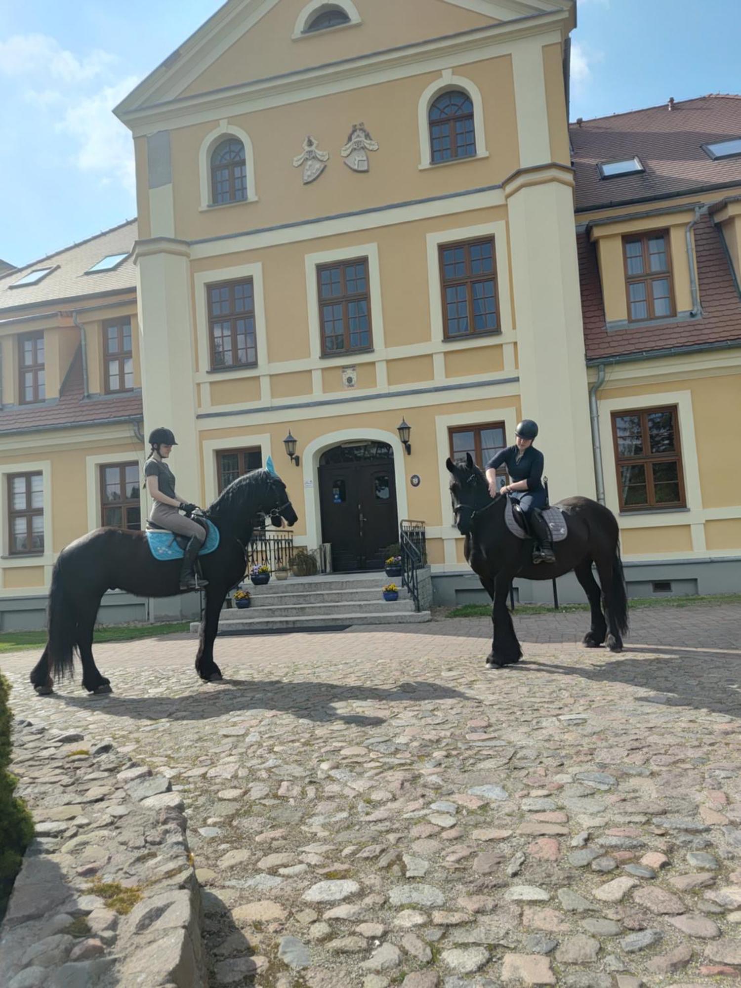 Palac W Rymaniu Hotel