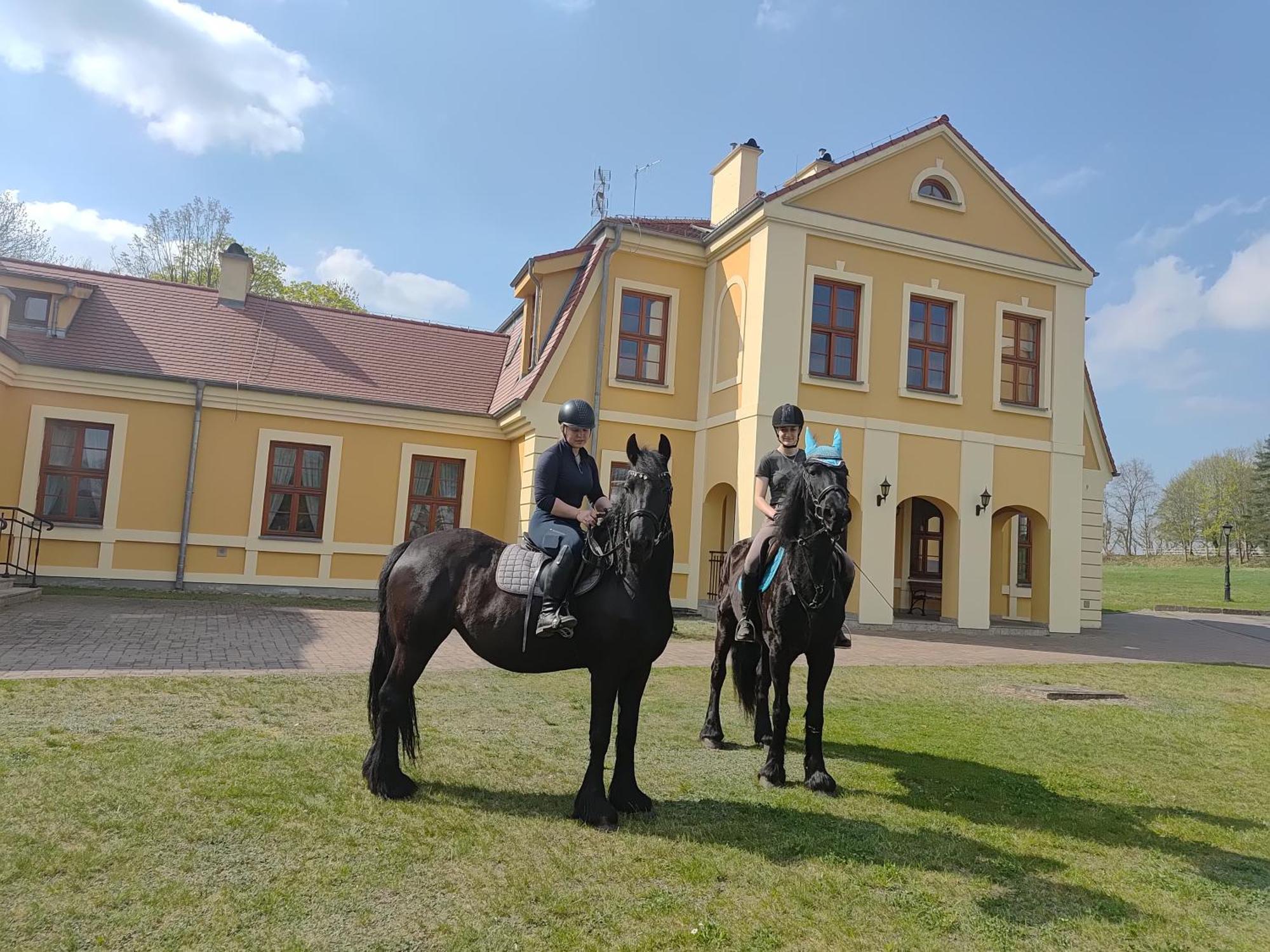 Pałac W Rymaniu 3*
